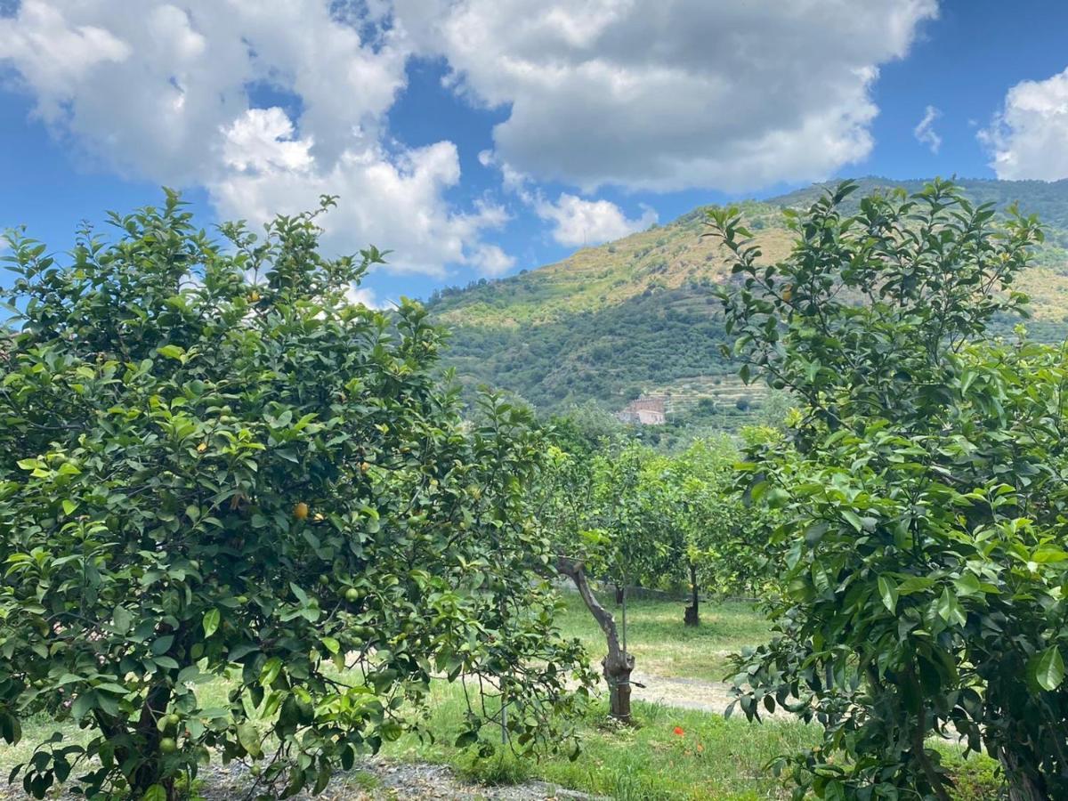 Casa Marietta Villa Forza dʼAgro Екстериор снимка